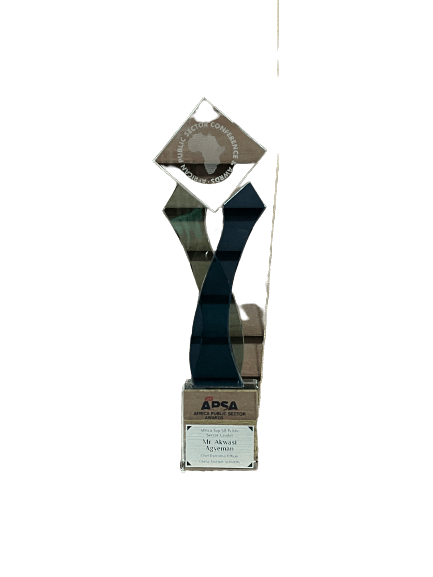 African Public Sector Conference Awards